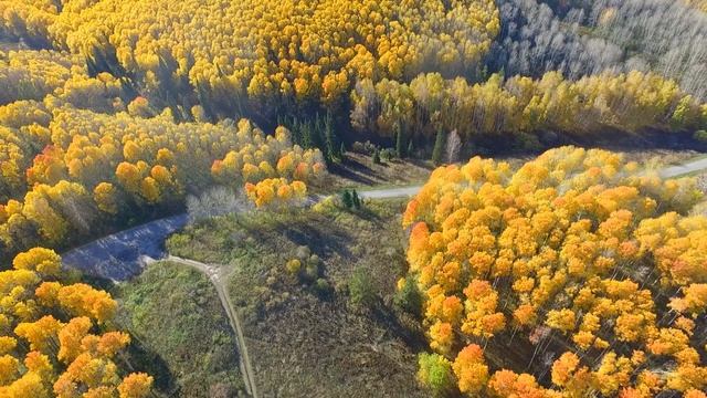 Осень 2021 (Autumn 2021 in East Kazakhstan, drone footage, drone video, DJI) смотреть онлайн