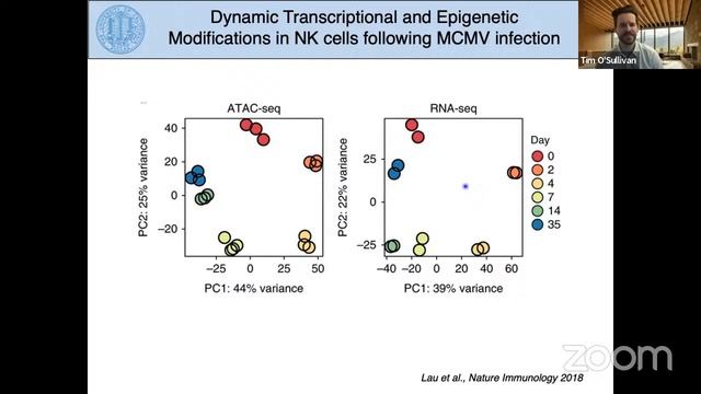 Early Career Immunology Seminar Series - Tim O'Sullivan смотреть онлайн