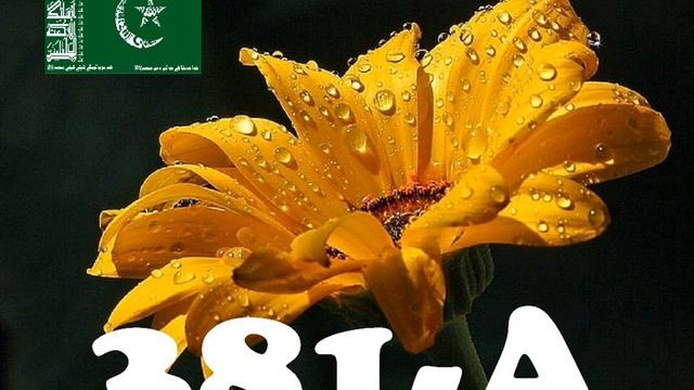 پرانی نعت شریف |عشق خدا کی بات ہے| MEDIA381-A... смотреть онлайн