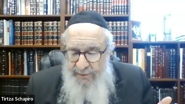 Vol 18 Balak 4 - Rabbi Leib Schapiro смотреть онлайн