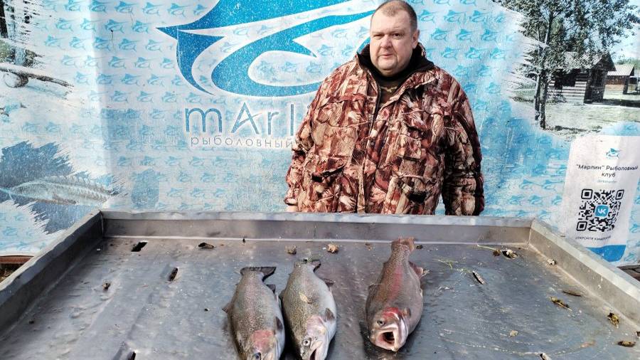 позолота на блесна для форели. ОТ Roma.Sergey