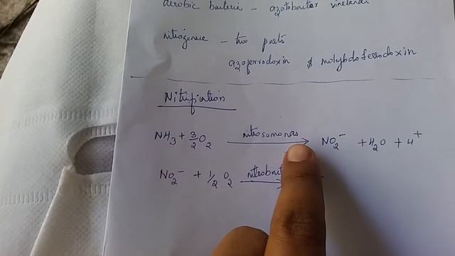 Nitrogen fixation смотреть онлайн
