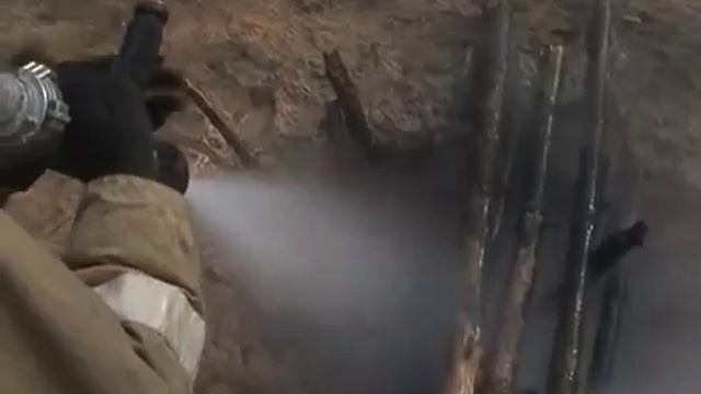 В лесном массиве Сосновки ликвидировали условный пожар смотреть онлайн