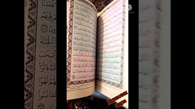 Biz Quron Karim Kitobini Yuzaki Uqiymiz Blasizmi