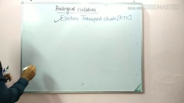 2 Electron transport chain - Biological Oxidation part 1 смотреть онлайн