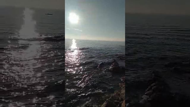 Genova смотреть онлайн