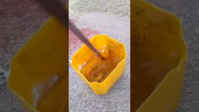 Обработка семян зерновых перед посевом препаратом V Agro. Происходит первый этап. Инструкция. смотреть онлайн