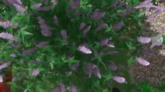 вид от дома смотреть онлайн