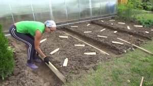 Отделка гряд не строганной обрезной доской 2019 год