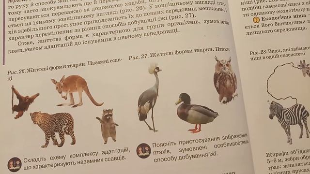 11 Клас Життєві форми організмів смотреть онлайн