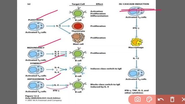 CYTOKINES смотреть онлайн