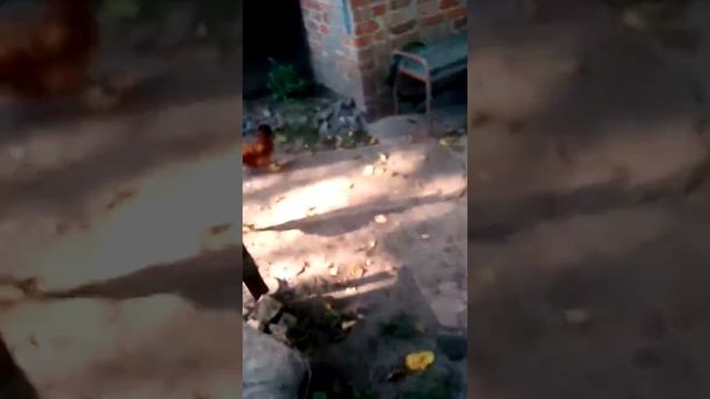 Сыворотка(6) смотреть онлайн