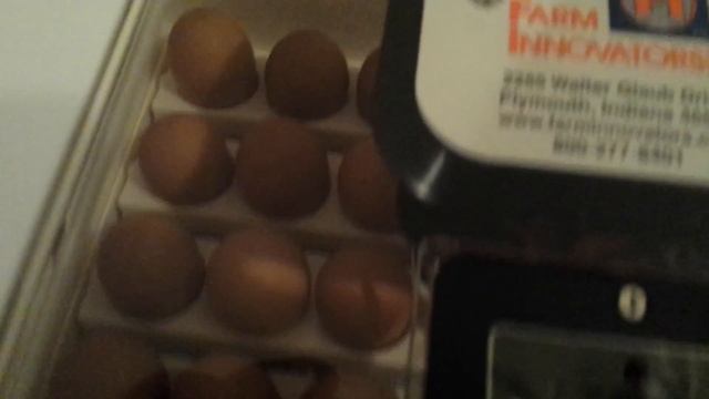 FARM INNOVATORS MODEL 4250. Setting up are our circulated air incubator with automatic egg turner. смотреть онлайн