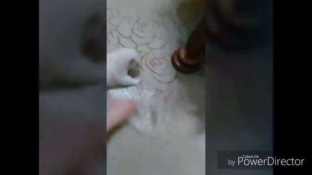 Хорек дома/ The ferret in the house смотреть онлайн