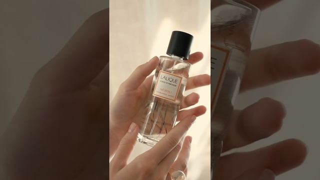 The scents of our room sprays will envelop your senses and take you on a unique fragrant journey. смотреть онлайн
