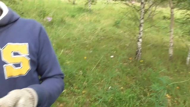 Мы его нашли,домонгол! смотреть онлайн