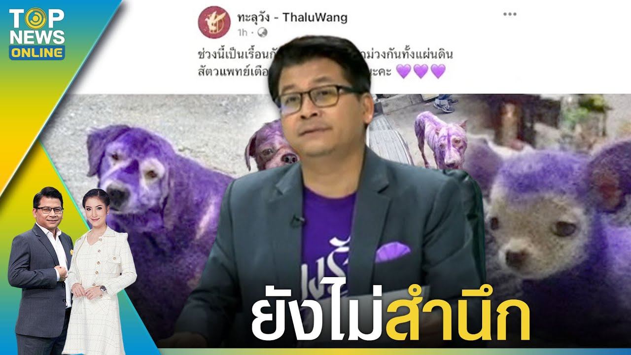 "สันติสุข" ซัดเดือด "ทะลุวัง" ไม่สลด หยามเหยียดซ้ำ โพสต์ภาพสุนัขทายาม่วง | TOPNEWSTV смотреть онлайн