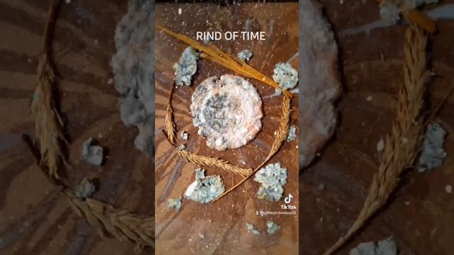 RIND OF TIME - ЖИВАЯ КАРТИНА смотреть онлайн
