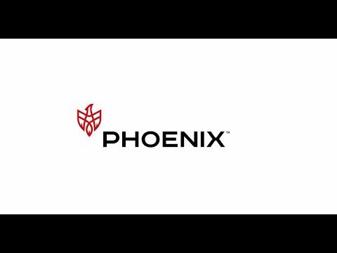 PHOENIX Company Overview смотреть онлайн