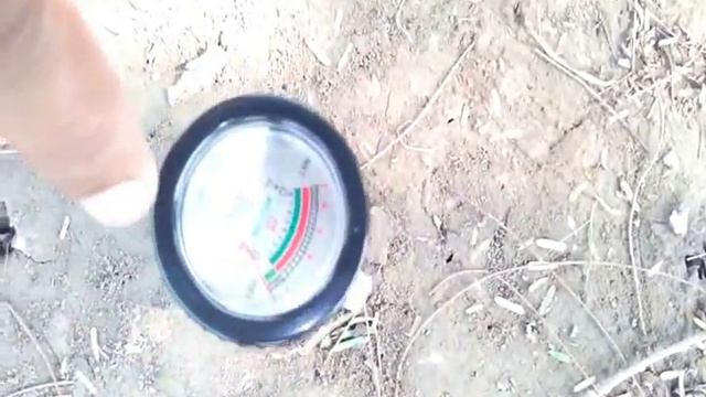 Soil pH and Moisture Meter (Analog) смотреть онлайн