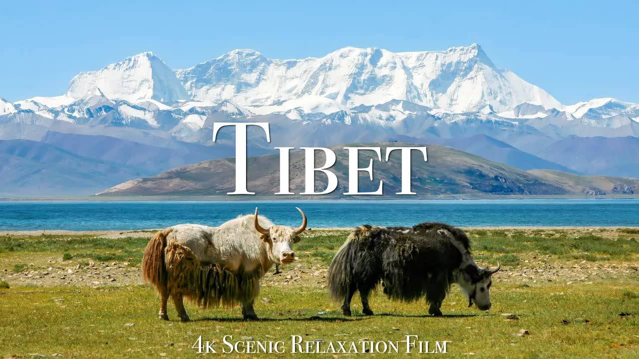 Tibet 4K - Scenic Relaxation Film With Calming Music смотреть онлайн