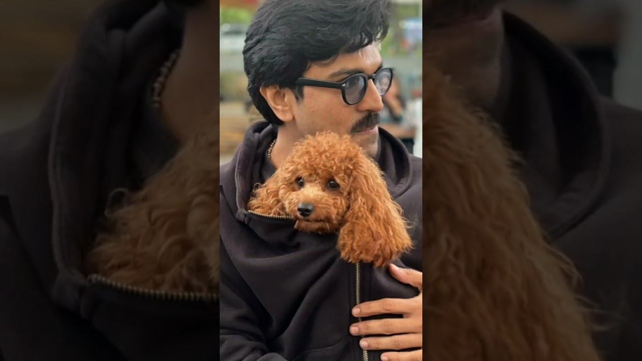 ramcharan konidela with his pet dog rhyme #viral смотреть онлайн