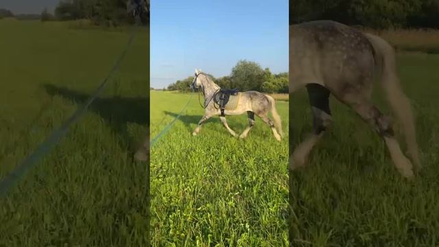 1000006298.mp4 смотреть онлайн