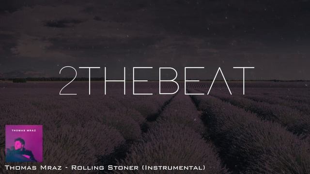Thomas Mraz - Rolling Stoner Instrumental | Минус