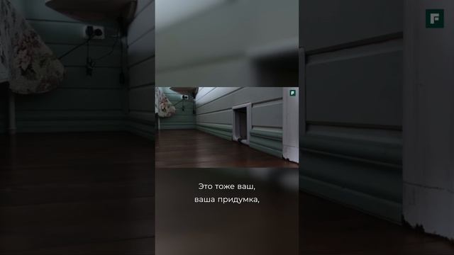 Котоходы в доме! Удобство для котов или для хозяев? смотреть онлайн