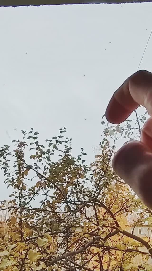 Ошибки ремонта смотреть онлайн