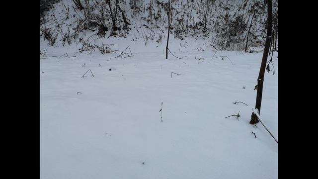 Сахалин-60*Sakhalin-60☆☆☆ смотреть онлайн