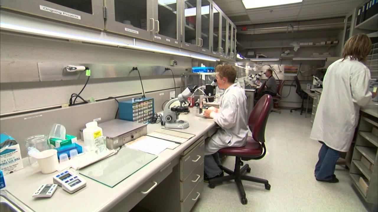 Mayo Clinic Cancer Center Microscopy and Cell Analysis Core: A Virtual Tour смотреть онлайн