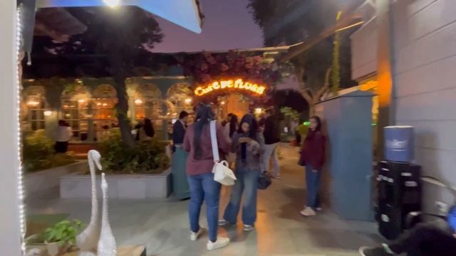 Cafe De Flora Delhi | Paris Vibes in Delhi | Chanakyapuri | Christmas Decorations | Anjali Mohan смотреть онлайн