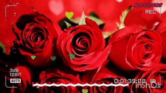 Суруди барги гул. Субхониддини Бурхон. смотреть онлайн