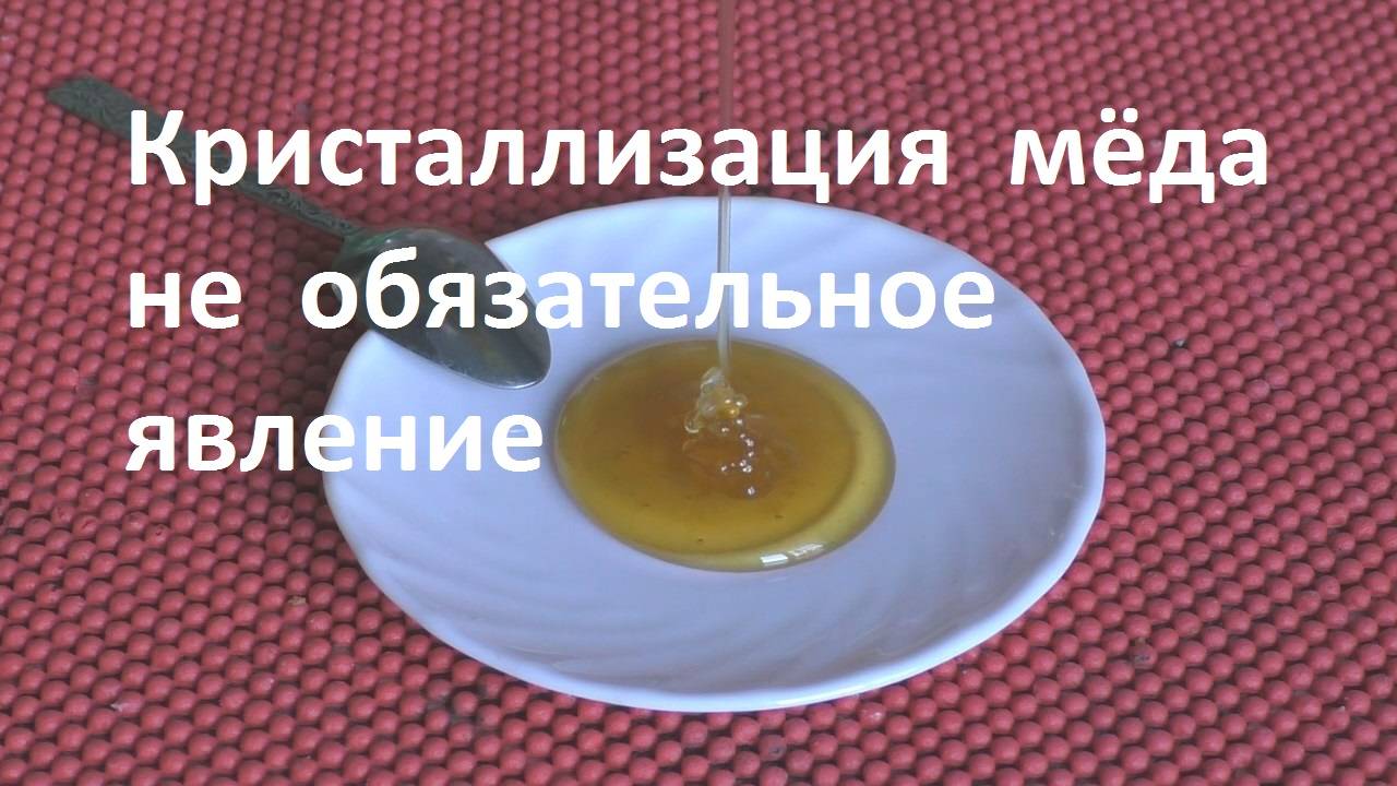 Почему откачанный мед быстро кристаллизуется смотреть онлайн