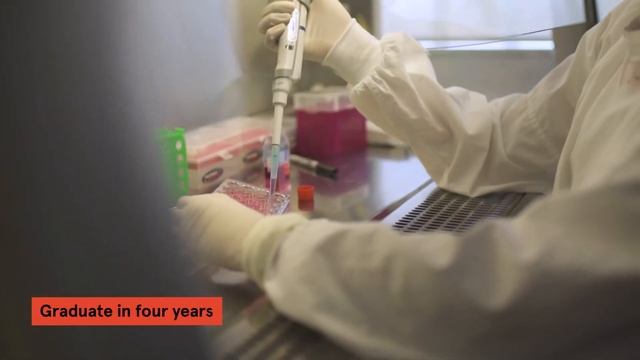 Bachelor of Engineering Honours (Biomedical), University of Sydney смотреть онлайн