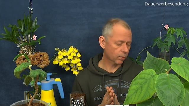 Erlenzapfen PH Wert senken im Wasser Anzucht einer Schwarzerle aus Samen смотреть онлайн