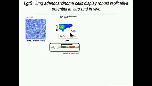 T Jacks: Engineering the Cancer Genome. смотреть онлайн