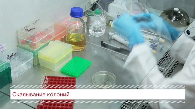 Эксперимент. Бактерия. смотреть онлайн