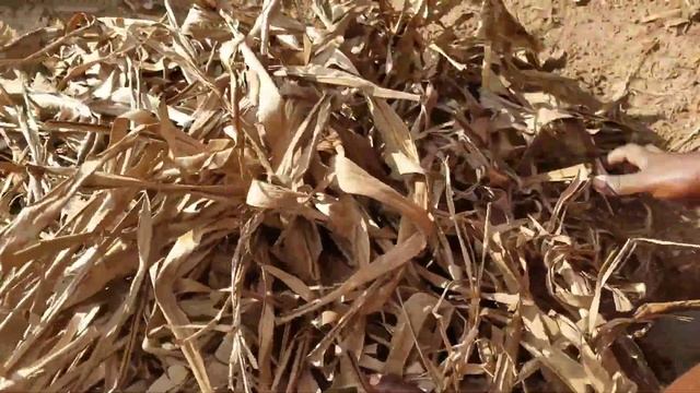 How I mix my Compost Manure from these Kitchen Remains смотреть онлайн