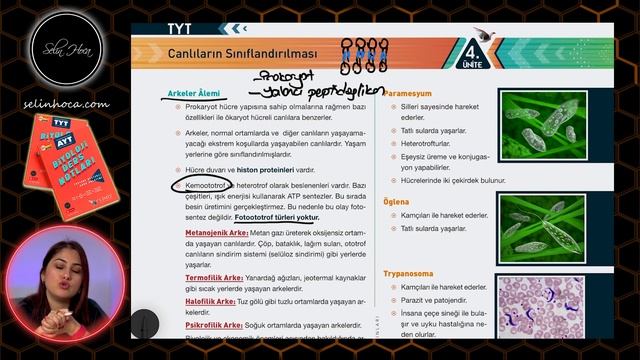 20) ARKELER ALEMİ | 9. SINIF | TYT BİYOLOJİ DERS NOTLARI | 2024 смотреть онлайн