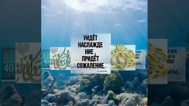 Маулид священной писании, приветсвие в Мекке и в Бадруне. смотреть онлайн
