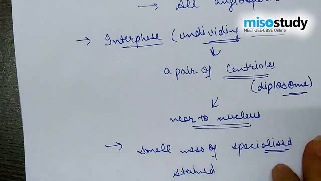 NEET Biology | 10. Cell Cycle and Division | Important Questions | In English | Misostudy смотреть онлайн