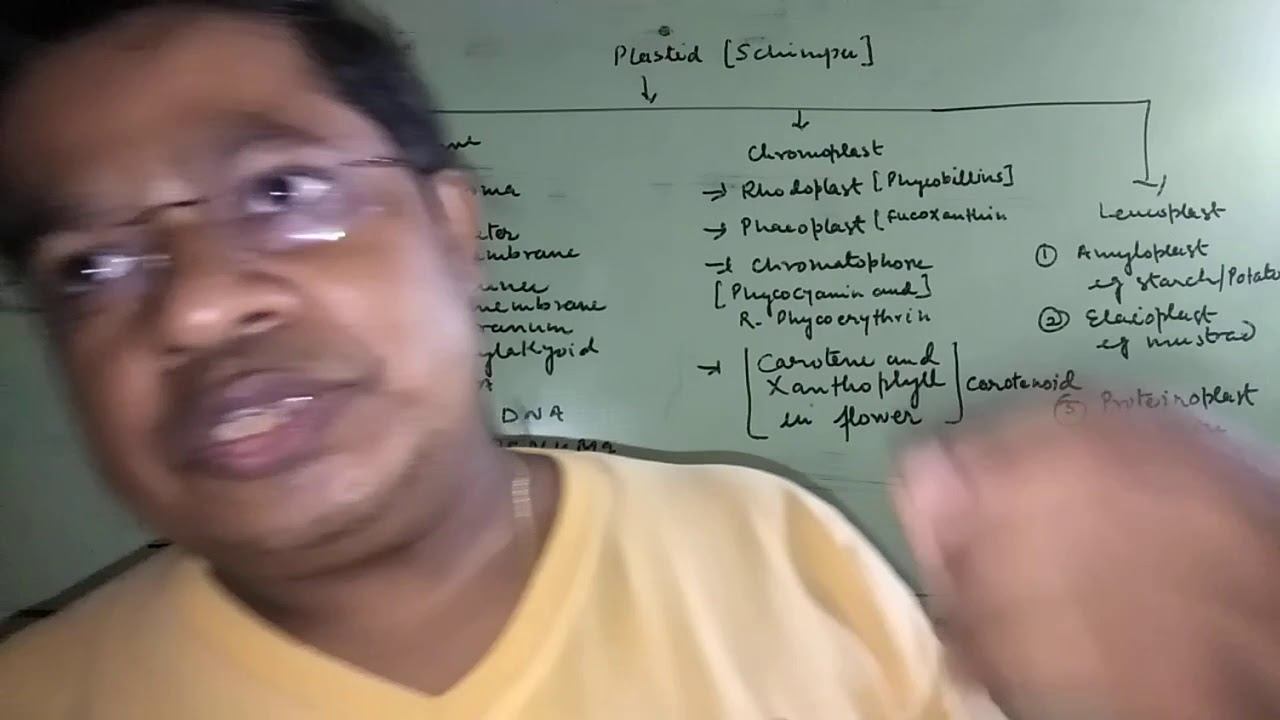 Plastid and plasma membrane смотреть онлайн