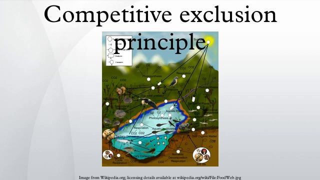 Competitive exclusion principle смотреть онлайн