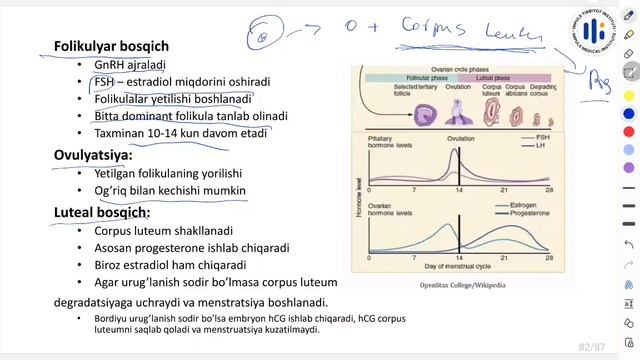 62. Hayz sikli смотреть онлайн
