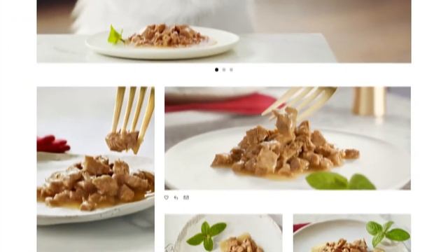 Purina Gourmet Mon Petit Comida húmeda para gatos gama alta selección carnes - Piensoymascotas смотреть онлайн