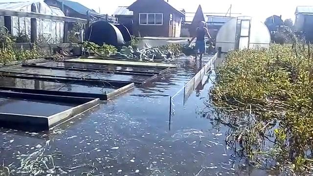 В Иркутске затопило р-н смотреть онлайн