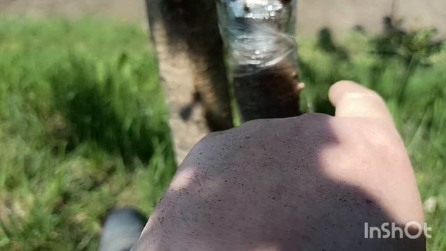 Можно ли триммером культивировать землю? смотреть онлайн