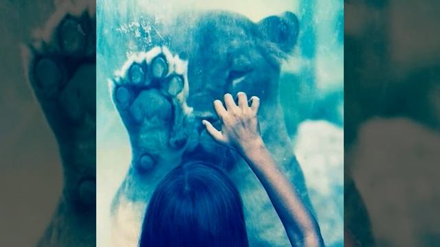 Ман туро дуст медорам акачон Азамат акачон абу смотреть онлайн